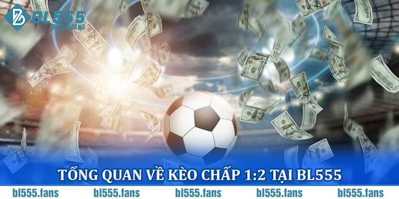 Tổng quan về kèo chấp 1:2 tại BL555